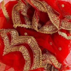 Net Sequin Work Dupatta